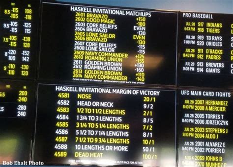 odds calculator horse racing|World Pool Addresses Horse Racing's 'Achilles' Heel' By .